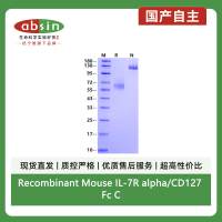 Recombinant Mouse IL-7R alpha/CD127 Fc Chimera Protein(Human Fc Tag)