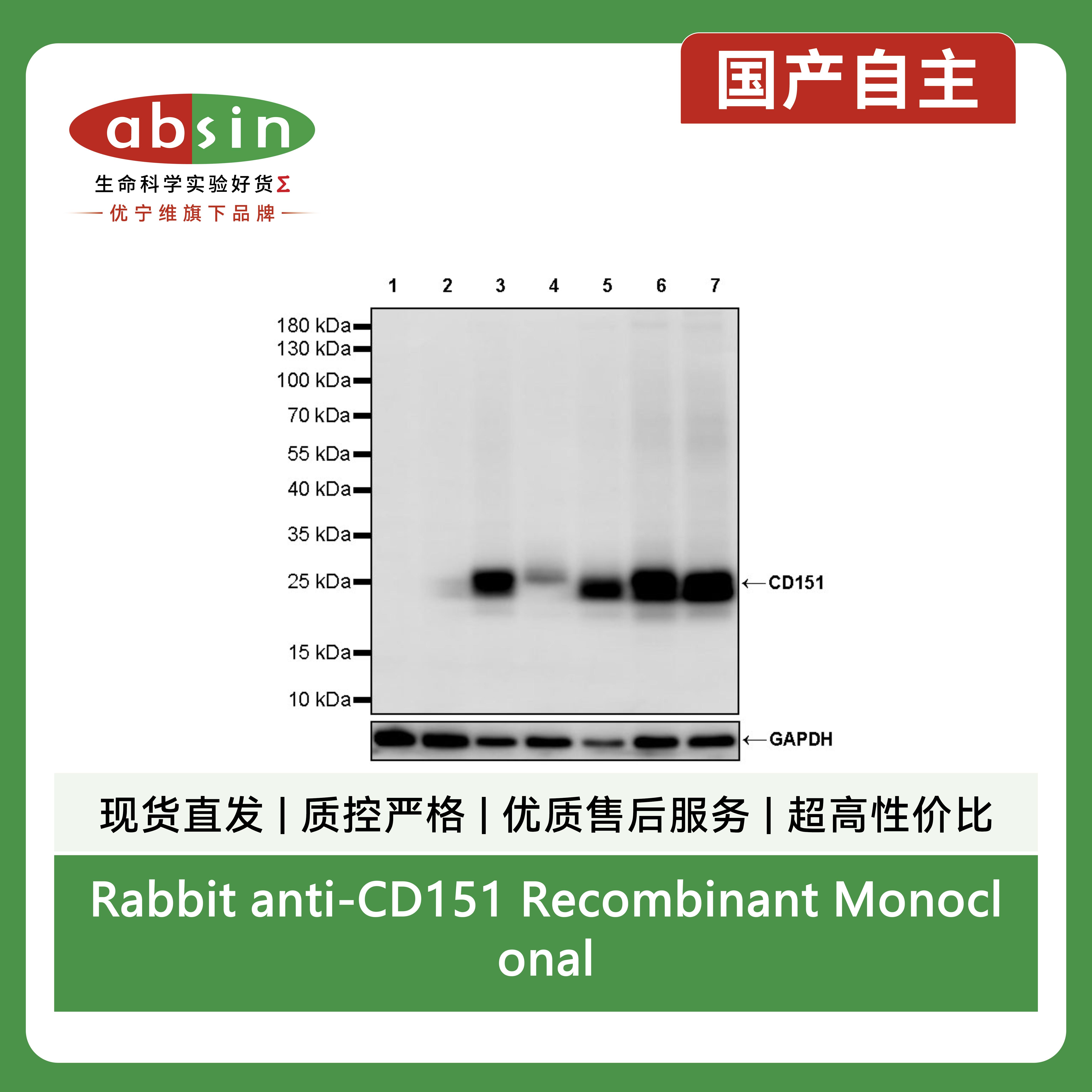 产品细节图片6