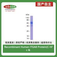 Recombinant Human ITGA8 Protein(C-hFc & C-His)