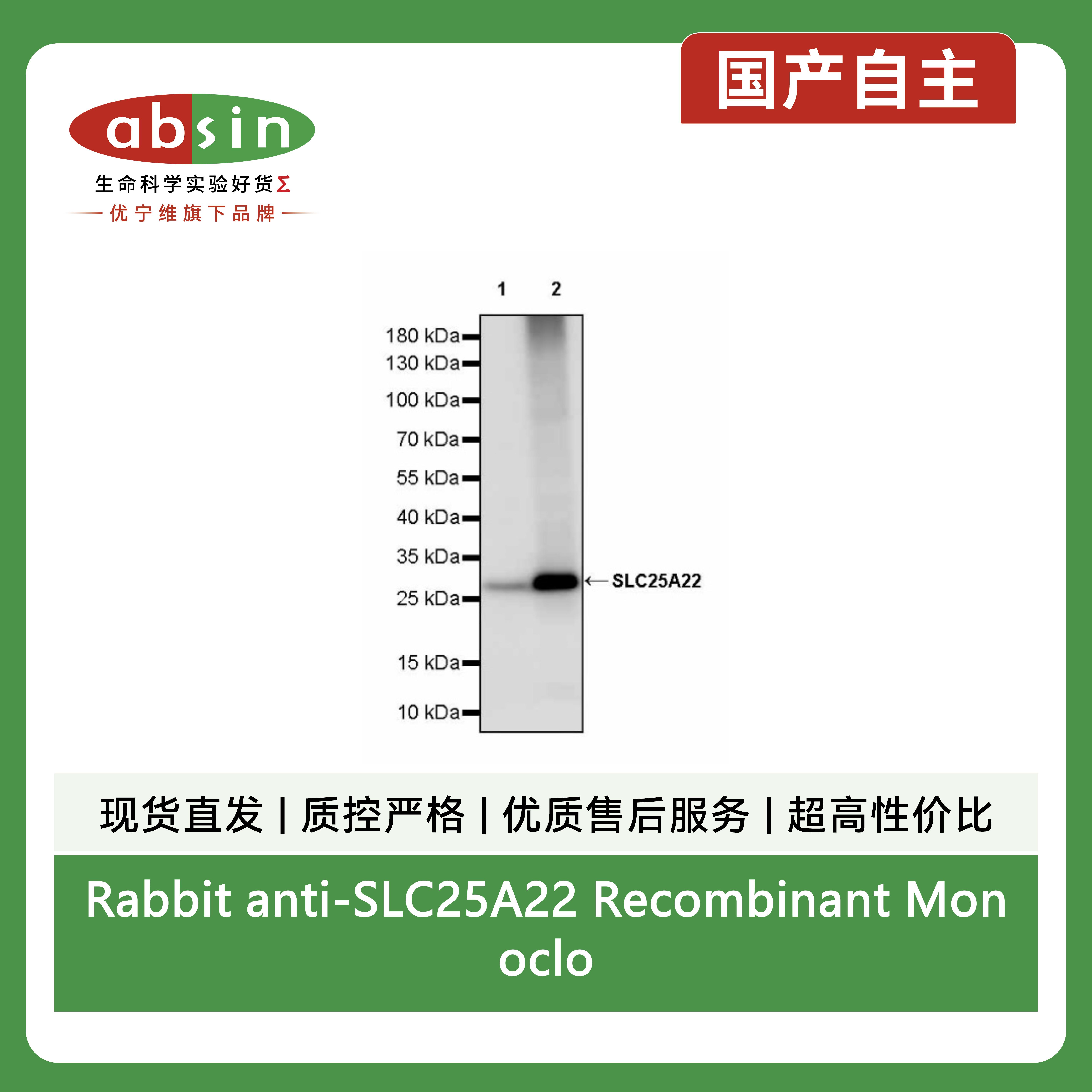 产品细节图片5