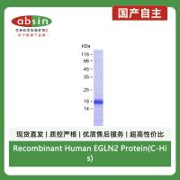 Recombinant Human EGLN2 Protein(C-His)