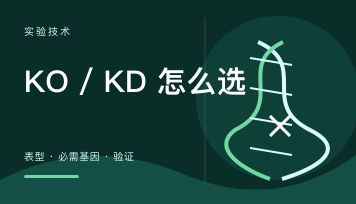 什么时候应该做KO什么时候应该做KD