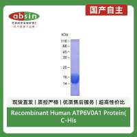 Recombinant Human ATP6V0A1 Protein(C-His)