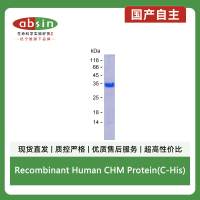 Recombinant Human CHM Protein(C-His)