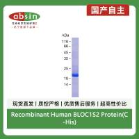 Recombinant Human BLOC1S2 Protein(C-His)