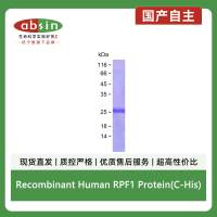 Recombinant Human RPF1 Protein(C-His)