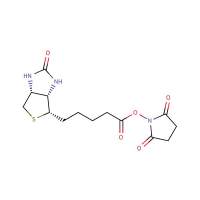 D-生物素 N-羟基琥珀酰亚胺酯，35013-72-0，≥98%，阿拉丁