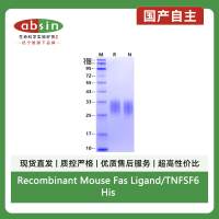 Recombinant Mouse Fas Ligand/TNFSF6 His Tag Protein(His Tag)