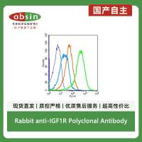 Rabbit anti-IGF1R Polyclonal Antibody
