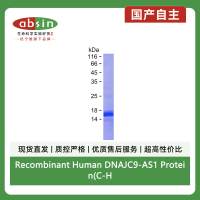 Recombinant Human DNAJC9-AS1 Protein(C-His)