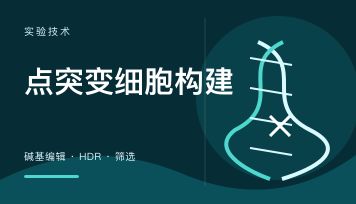 CRISPR点突变细胞怎么构建