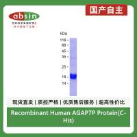 Recombinant Human AGAP7P Protein(C-His)