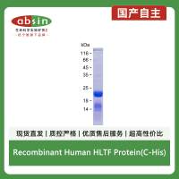 Recombinant Human HLTF Protein(C-His)