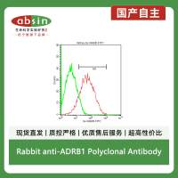 Rabbit anti-ADRB1 Polyclonal Antibody