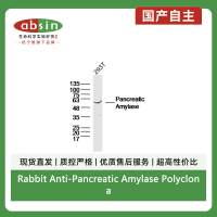 Rabbit Anti-Pancreatic Amylase Polyclonal Antibody