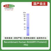 Recombinant Human RASGRP3 Protein(C-His)