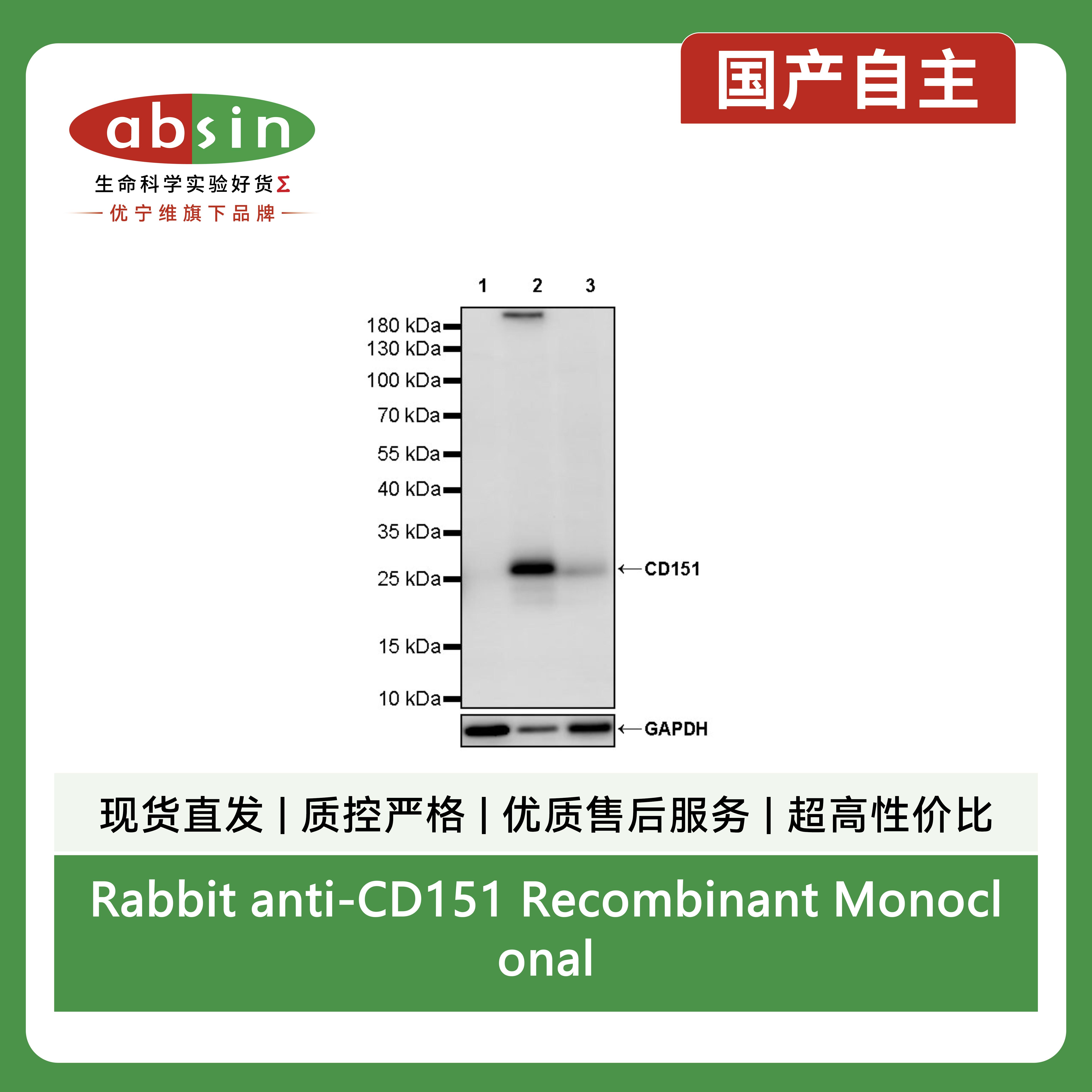 产品细节图片3