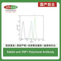 Rabbit anti-FBP1 Polyclonal Antibody
