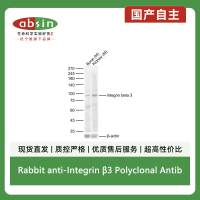 Rabbit anti-Integrin β3 Polyclonal Antibody