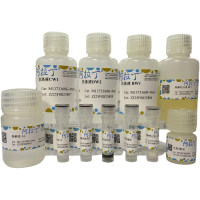 磁珠法细菌基因组DNA提取试剂盒,BioReagent, for DNA and RNA applications,阿拉丁