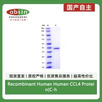 Recombinant Human Human CCL4 Protein(C-hFc)