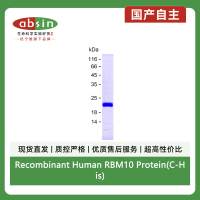 Recombinant Human RBM10 Protein(C-His)