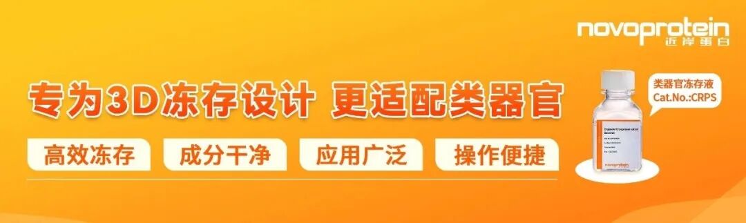 限时试用 | 多功能冻存液！1瓶搞定类器官与细胞冻存