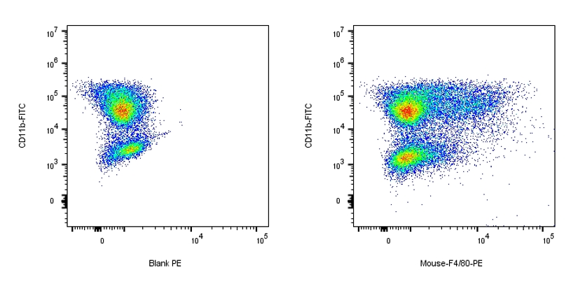 RPE Rat anti-Mouse F4/80 Antibody(CI:A3-1)产品图