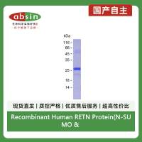 Recombinant Human RETN Protein(N-SUMO & N-His)