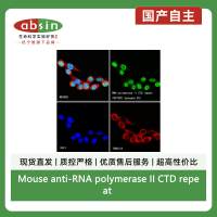 Mouse anti-RNA polymerase II CTD repeat YSPTSPS (phospho S5) Recombinant Monoclonal Antibody(S-3420)