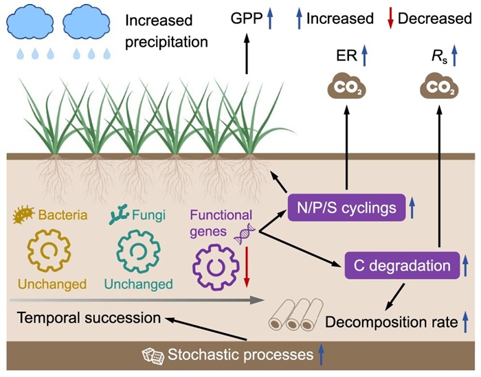 BMG LABTECH多功能酶标仪文献分享,多国团队发表在ISME Journal 名为“Increased precipitation decelerates temporal succession of grassland soil microbial communities”