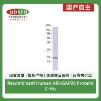 Recombinant Human ARHGAP26 Protein(C-His)
