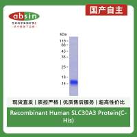 Recombinant Human SLC30A3 Protein(C-His)