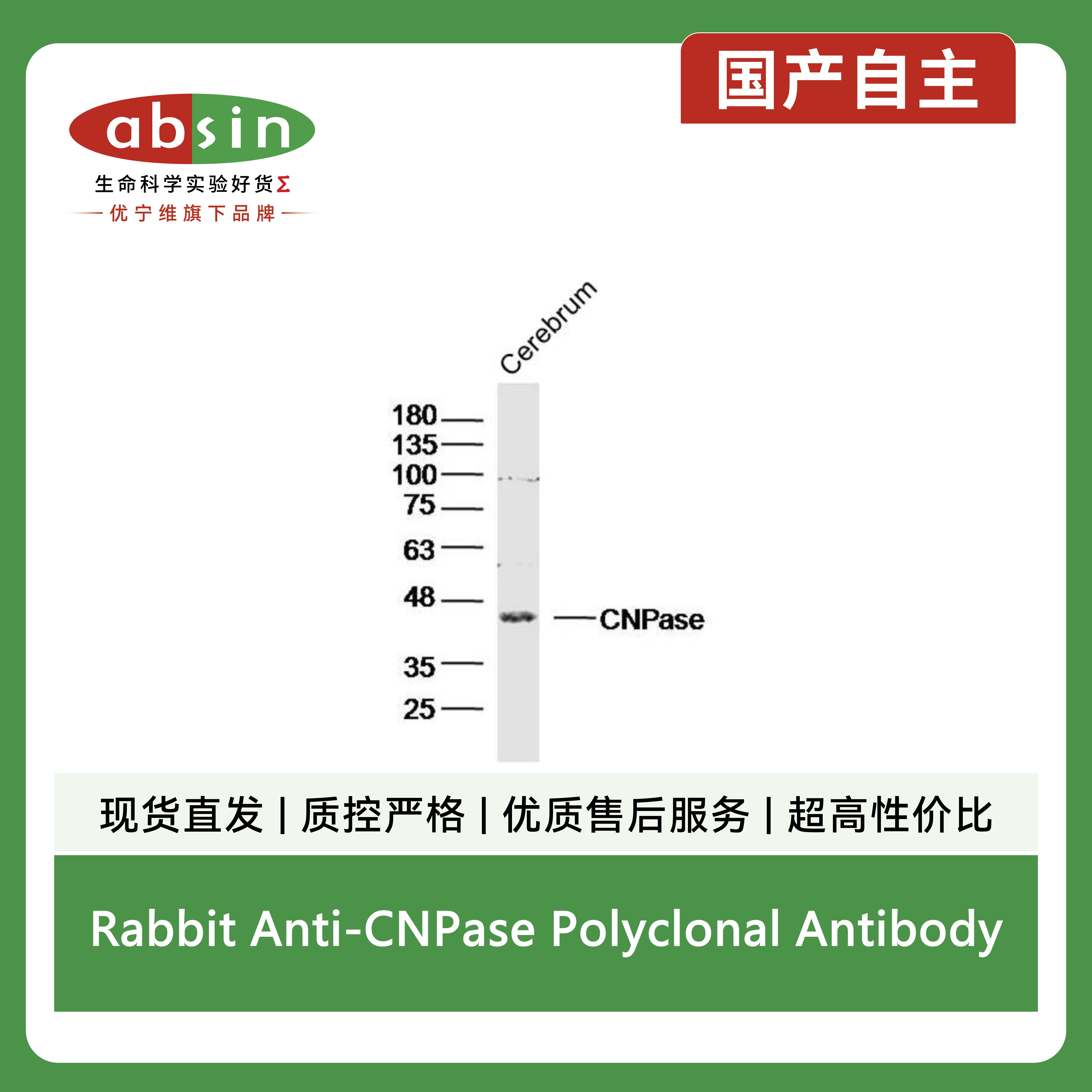 产品细节图片2