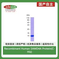 Recombinant Human SAMD4A Protein(C-His)