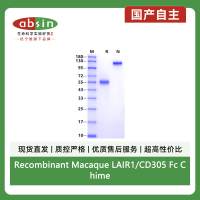 Recombinant Macaque LAIR1/CD305 Fc Chimera Protein(Human Fc Tag)