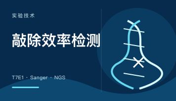 CRISPR敲除效率怎么检测