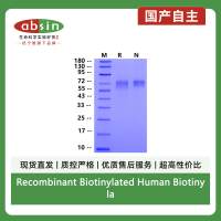 Recombinant Biotinylated Human Biotinylated EGFRvIII His&Avi Tag Protein(Avi Tag,His Tag)