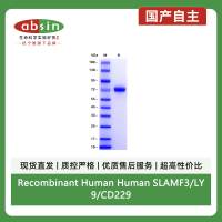 Recombinant Human Human SLAMF3/LY9/CD229 Protein(C-His Tag)