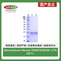 Recombinant Mouse TRANCE/RANK L/TNFSF11 (159aa) Protein(His Tag,Flag Tag)