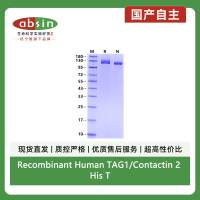 Recombinant Human TAG1/Contactin 2 His Tag Protein(His Tag)