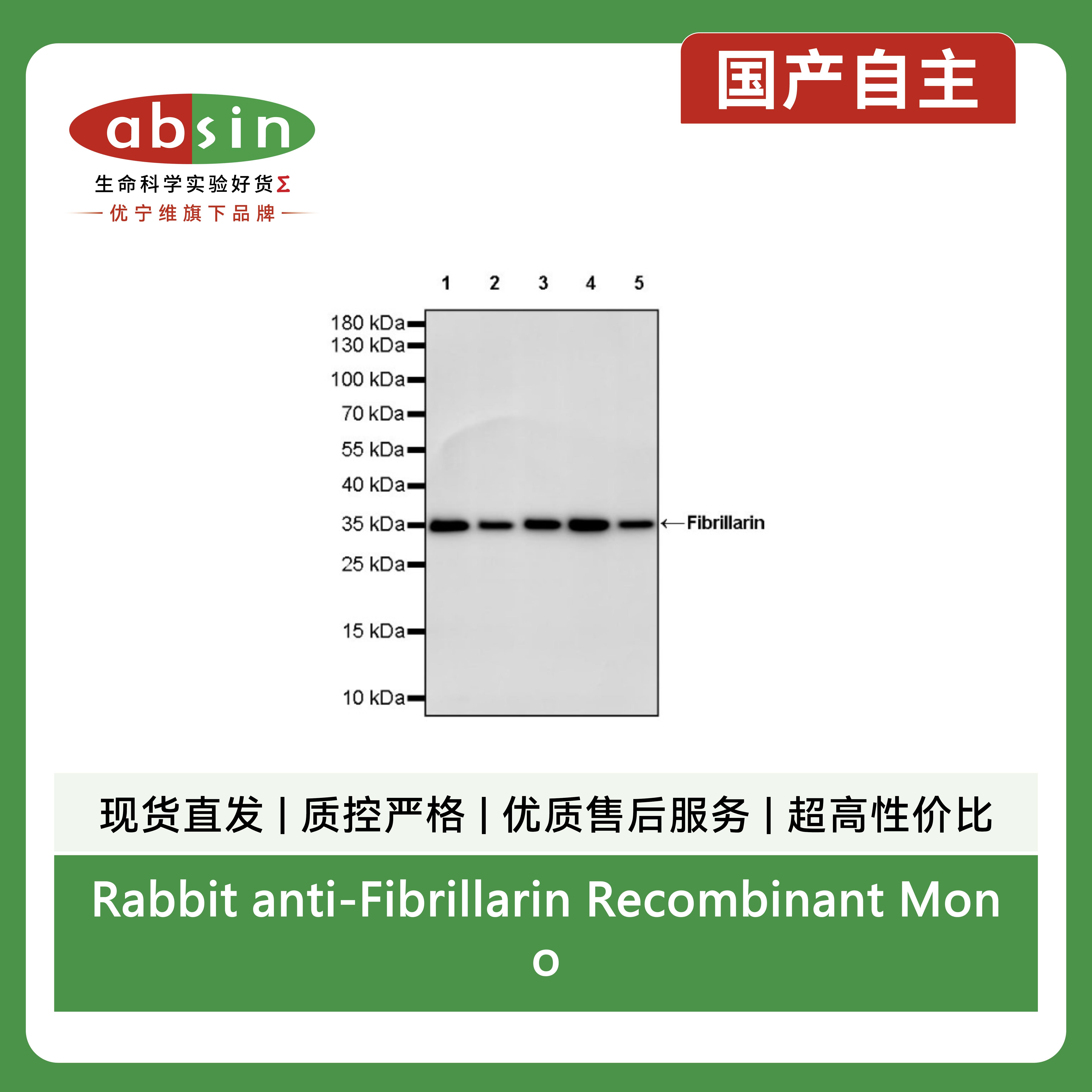 产品细节图片3