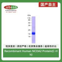 Recombinant Human NCOA2 Protein(C-His)