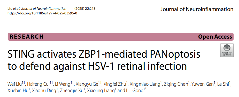 Journal of Neuroinflammation | STING激活ZBP1介导的PANoptosis防御HSV-1视网膜感染