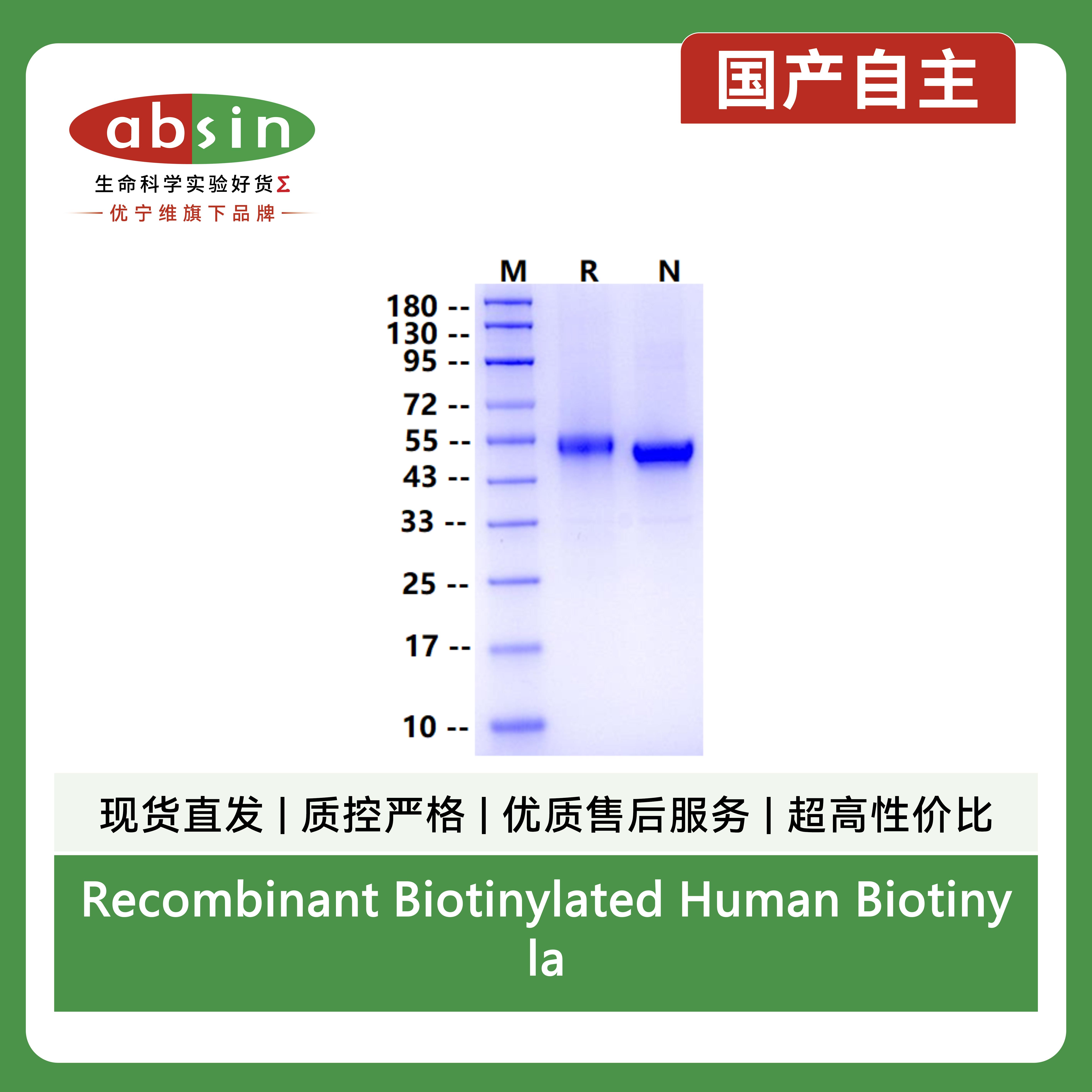 产品细节图片1