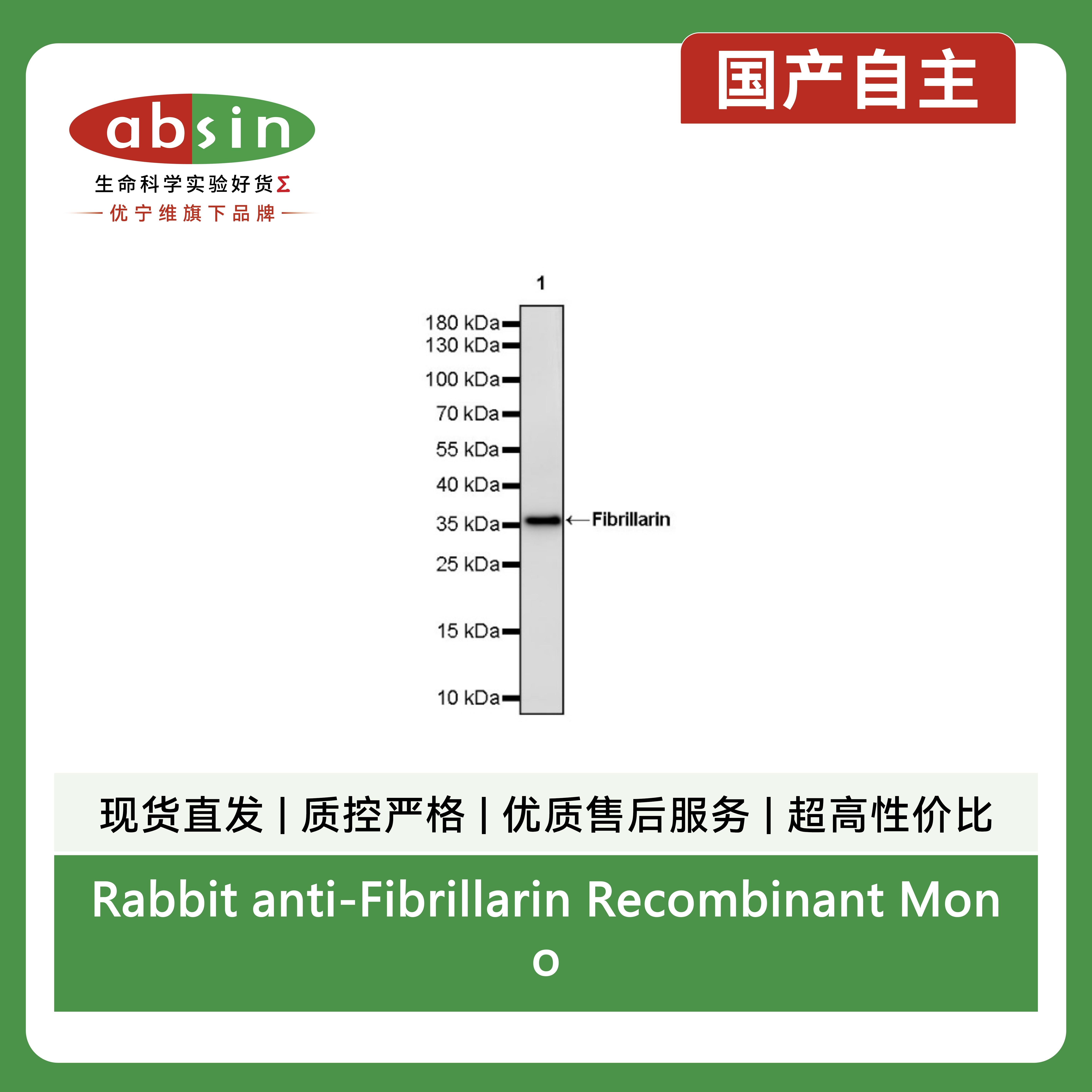 产品细节图片13