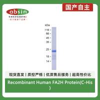 Recombinant Human FA2H Protein(C-His)