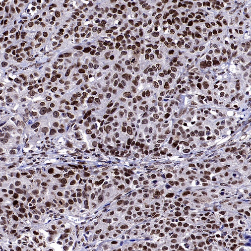 产品细节图片10