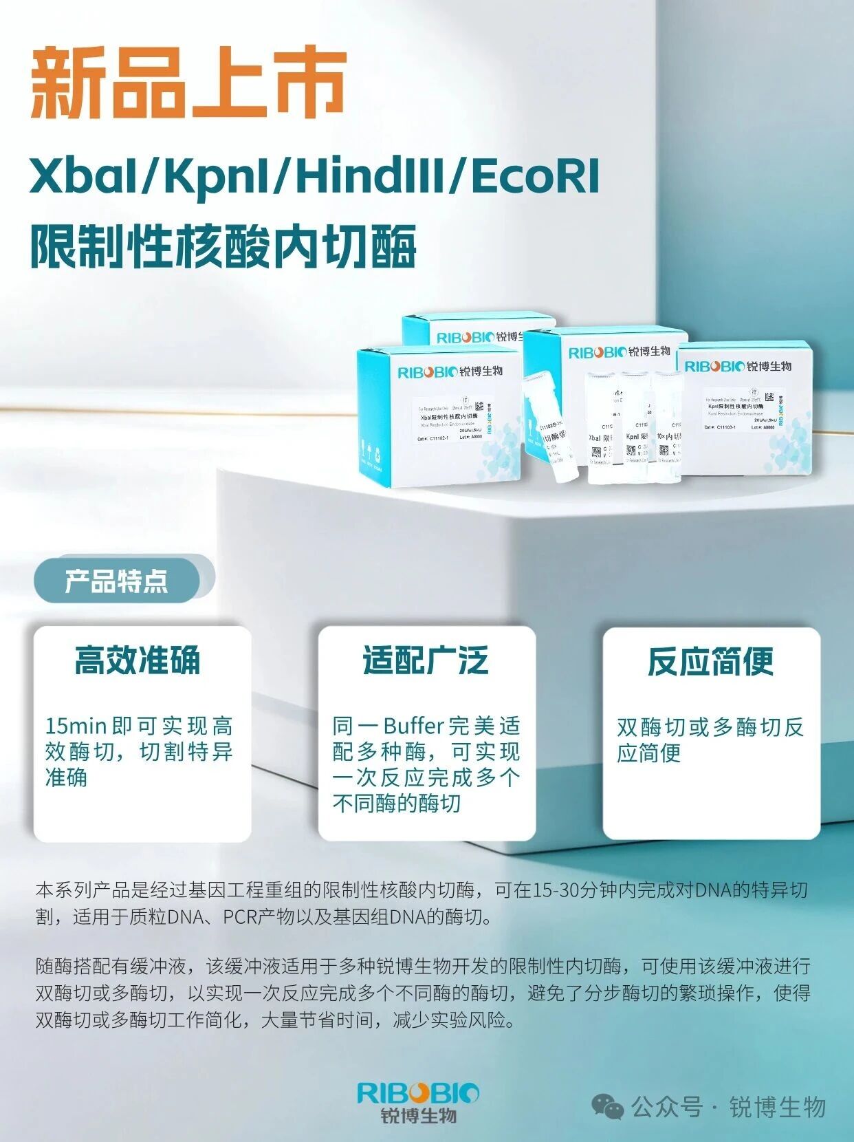新品推荐 | 限制性核酸内切酶