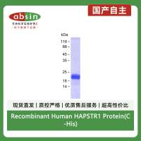 Recombinant Human HAPSTR1 Protein(C-His)